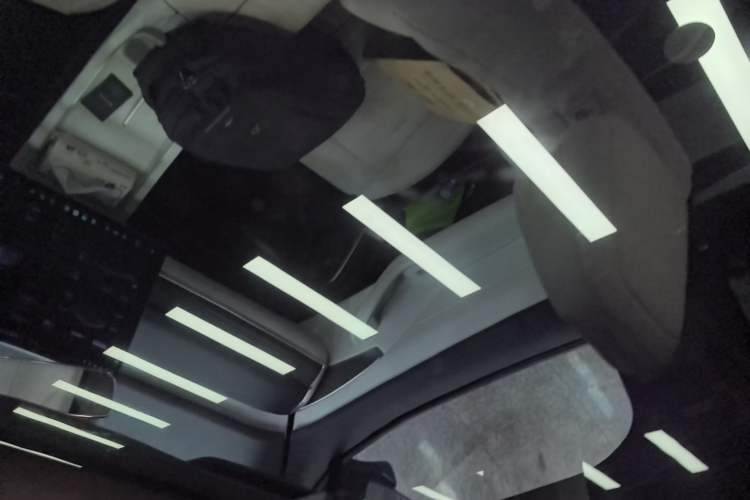 Used ONVO L60 2024 60 kWh Rear-Drive Version Headliner
