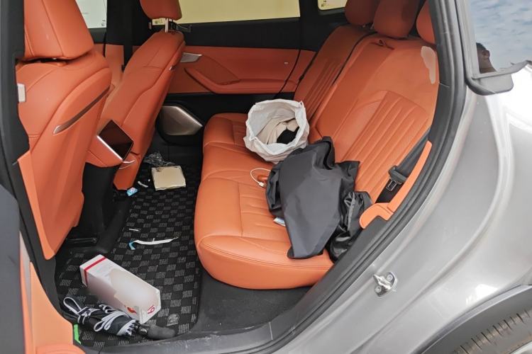 Used ONVO L60 2024 60 kWh Rear-Drive Version Left Rear Seat