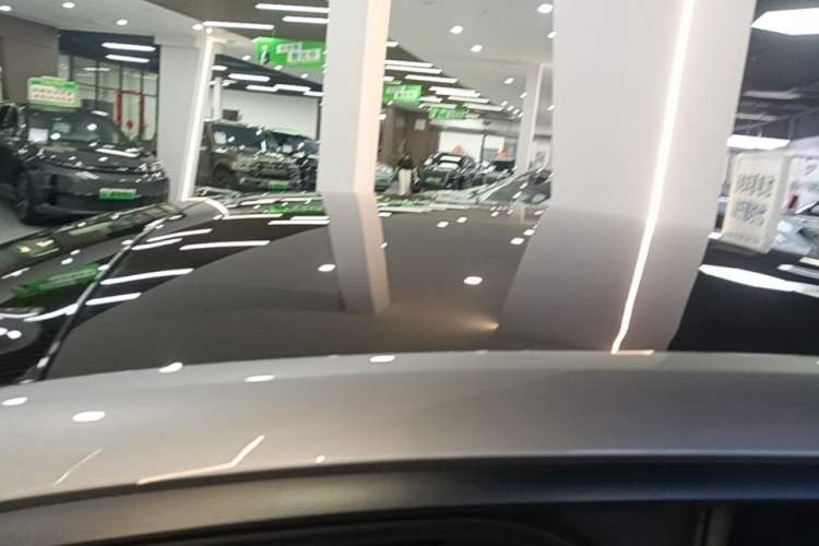 Used ONVO L60 2024 60 kWh Rear-Drive Version Roof