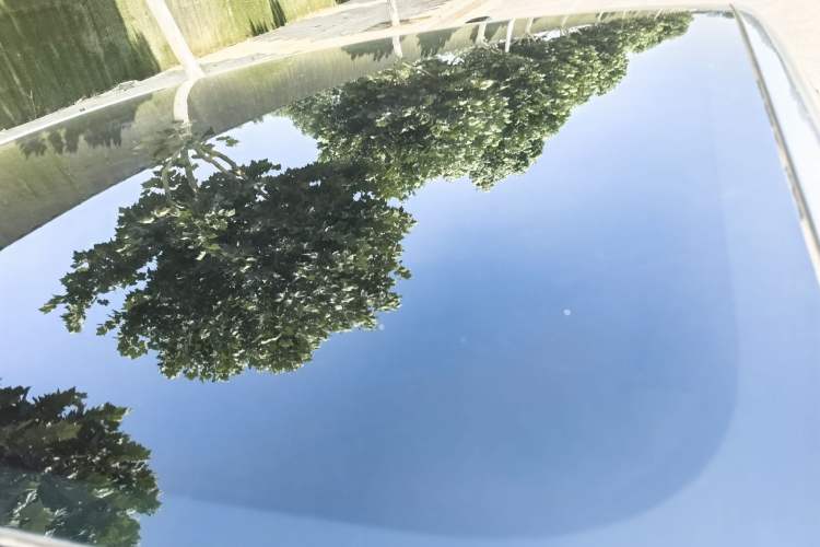 Used ONVO L60 2024 60 kWh Rear-Drive Version Roof