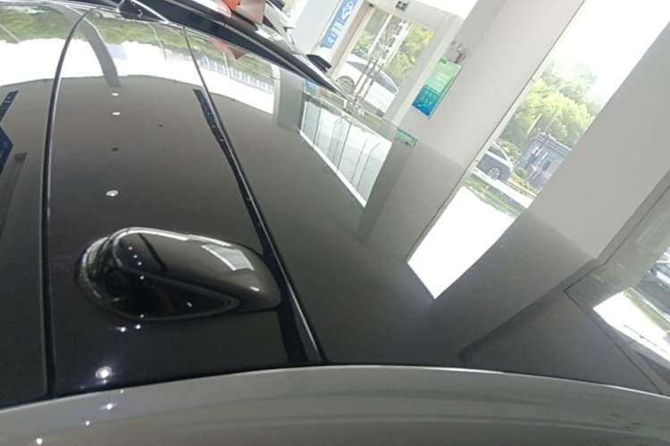 Used ONVO L60 2024 60 kWh Rear-Drive Version Roof