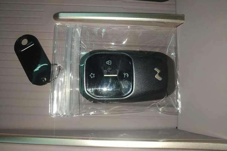 Used ONVO L60 2024 60 kWh Rear-Drive Version Vehicle Key