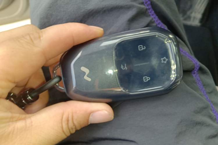 Used ONVO L60 2024 60 kWh Rear-Drive Version Vehicle Key