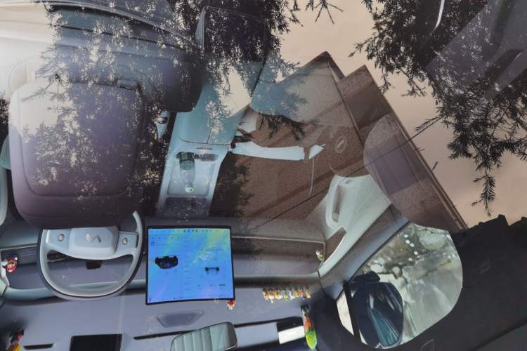 Used ONVO L60 2024 60 kWh Rear-Drive Version Headliner