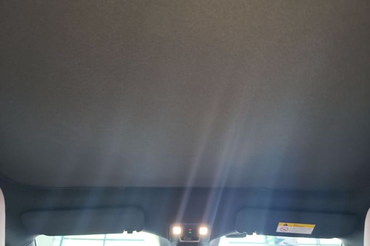 Used ONVO L60 2024 60 kWh Rear-Drive Version Headliner