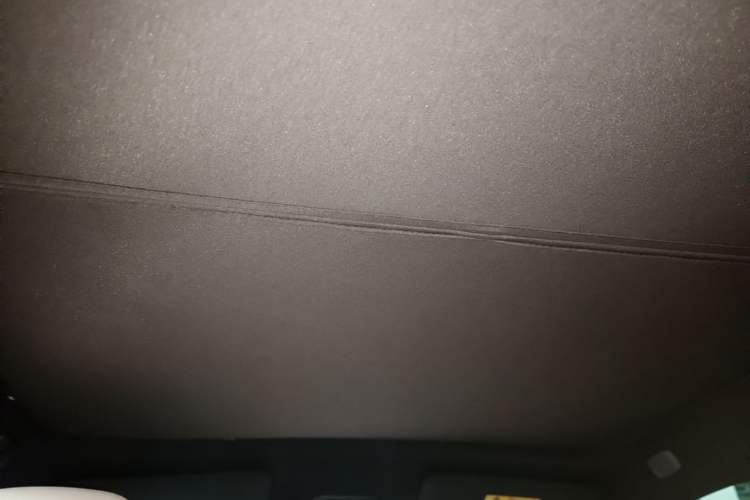 Used ONVO L60 2024 60 kWh Rear-Drive Version Headliner