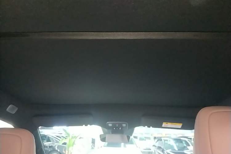 Used ONVO L60 2024 60 kWh Rear-Drive Version Headliner