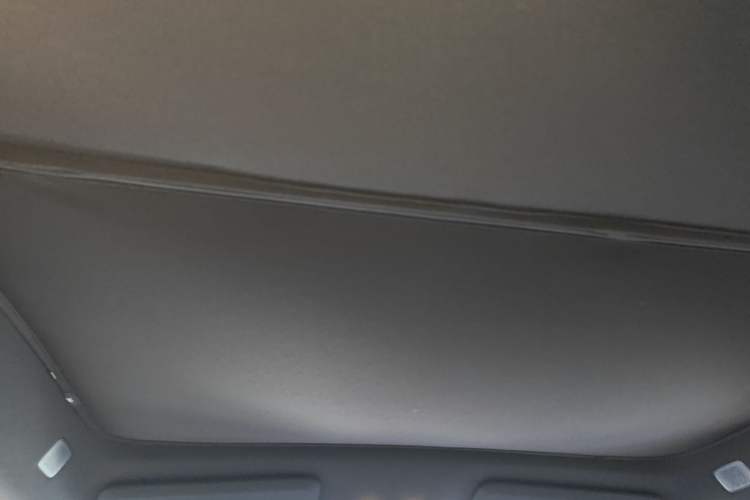 Used ONVO L60 2024 60 kWh Rear-Drive Version Headliner