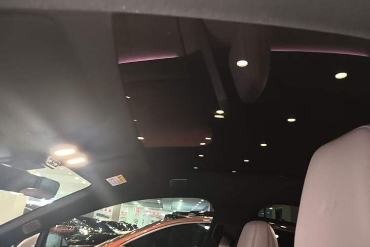 Used ONVO L60 2024 60 kWh Rear-Drive Version Headliner