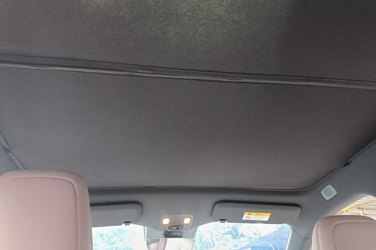Used ONVO L60 2024 60 kWh Rear-Drive Version Headliner
