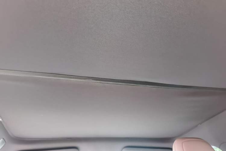 Used ONVO L60 2024 60 kWh Rear-Drive Version Headliner