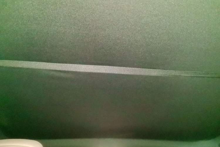 Used ONVO L60 2024 60 kWh Rear-Drive Version Headliner