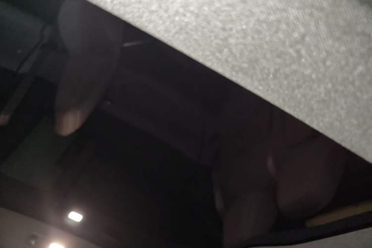Used ONVO L60 2024 60 kWh Rear-Drive Version Headliner
