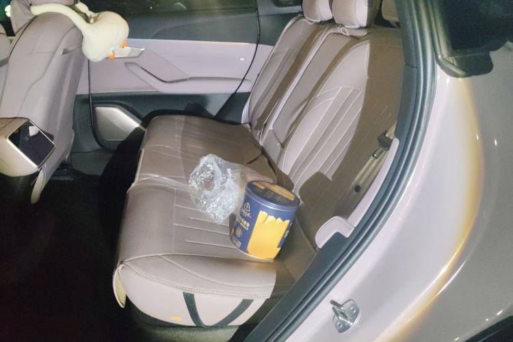 Used ONVO L60 2024 60 kWh Rear-Drive Version Left Rear Seat