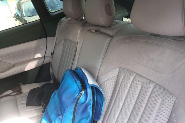 Used ONVO L60 2024 60 kWh All-Wheel Drive Left Rear Seat
