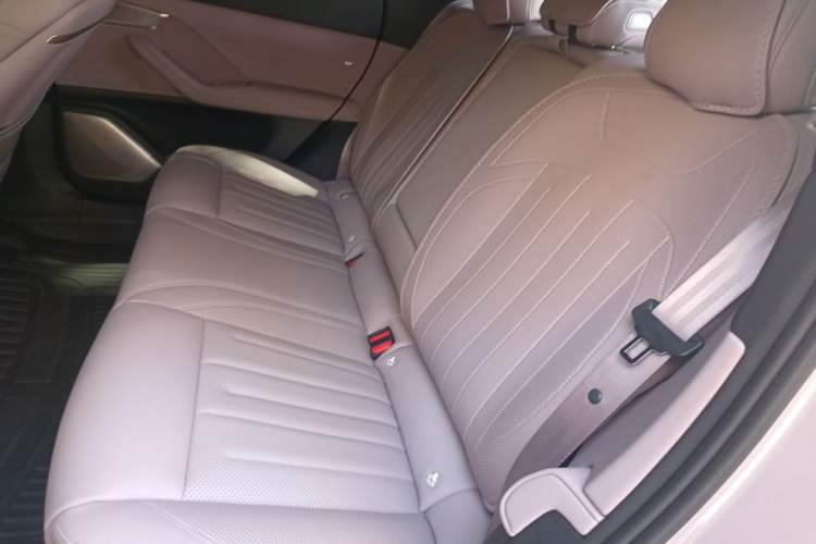 Used ONVO L60 2024 60 kWh Rear-Drive Version Left Rear Seat
