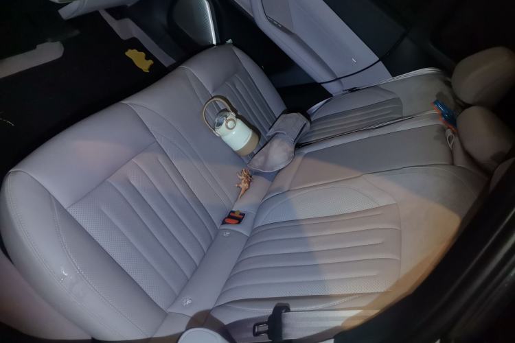Used ONVO L60 2024 60 kWh Rear-Drive Version Left Rear Seat