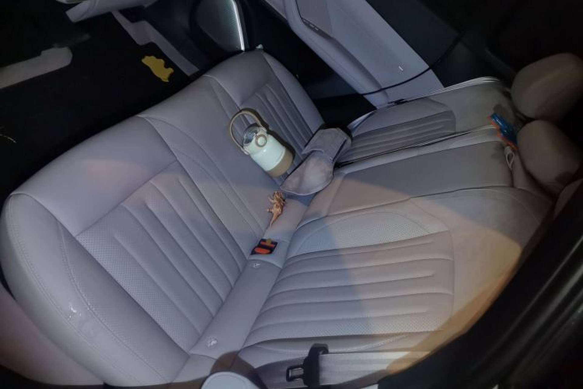 Used ONVO L60 2024 60 kWh Rear-Drive Version Left Rear Seat