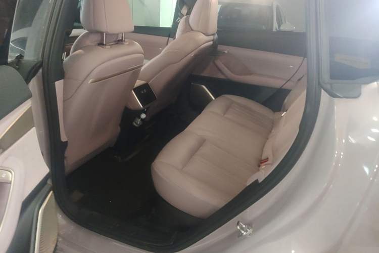 Used ONVO L60 2024 60 kWh Rear-Drive Version Left Rear Seat