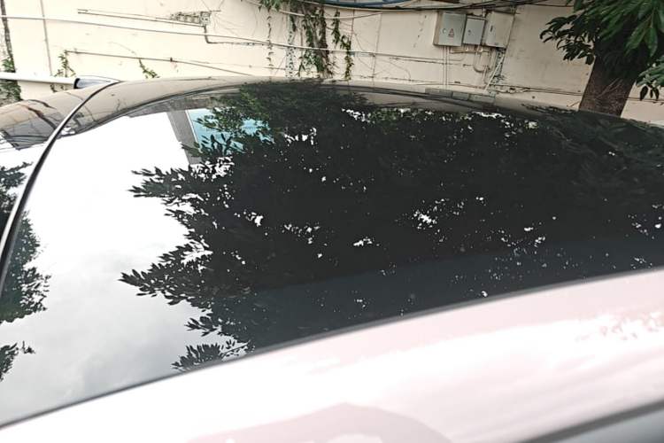 Used ONVO L60 2024 60 kWh Rear-Drive Version Roof