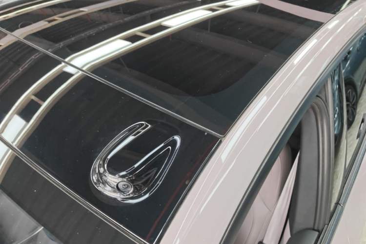 Used ONVO L60 2024 60 kWh Rear-Drive Version Roof