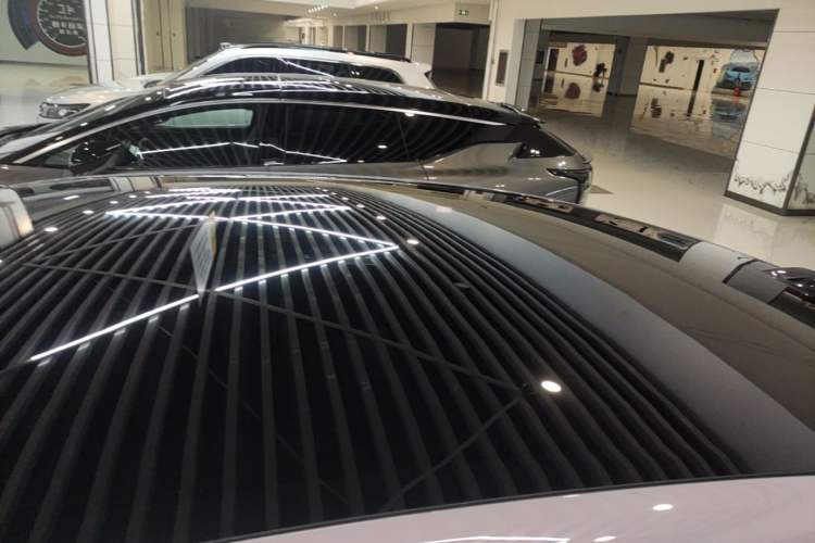 Used ONVO L60 2024 60 kWh Rear-Drive Version Roof