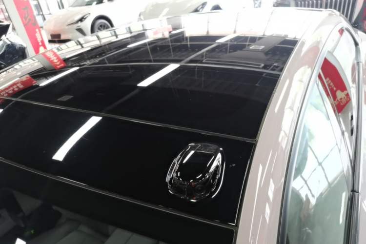 Used ONVO L60 2024 60 kWh Rear-Drive Version Roof