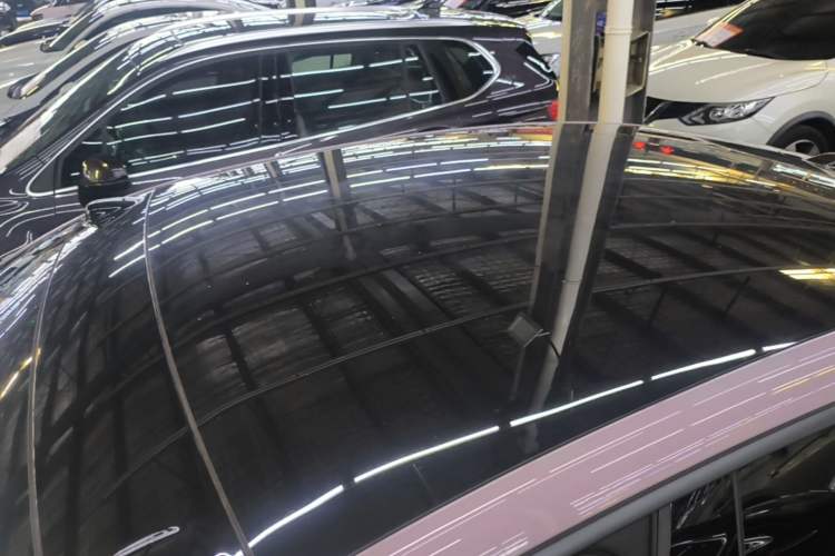 Used ONVO L60 2024 60 kWh Rear-Drive Version Roof
