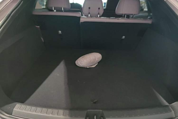Used ONVO L60 2024 60 kWh Rear-Drive Version Trunk