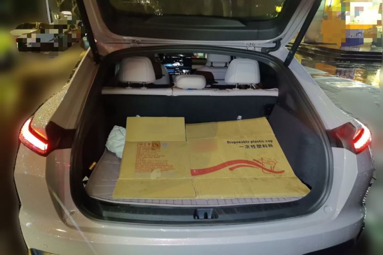 Used ONVO L60 2024 60 kWh Rear-Drive Version Trunk
