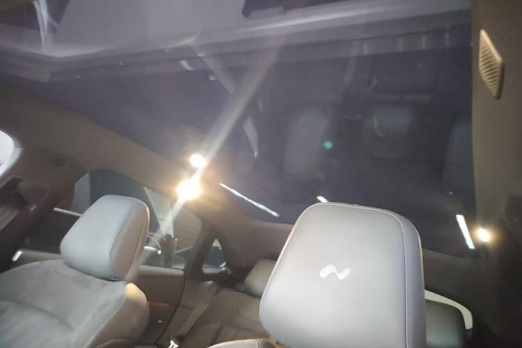 Used ONVO L60 2024 60 kWh All-Wheel Drive Headliner
