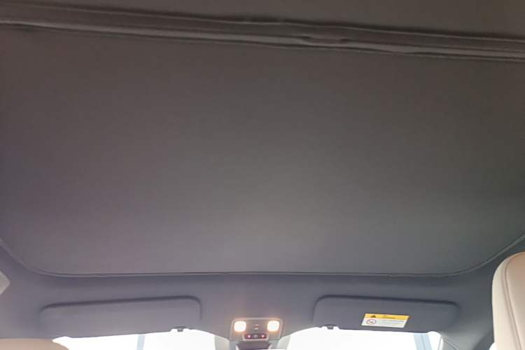 Used ONVO L60 2024 60 kWh All-Wheel Drive Headliner