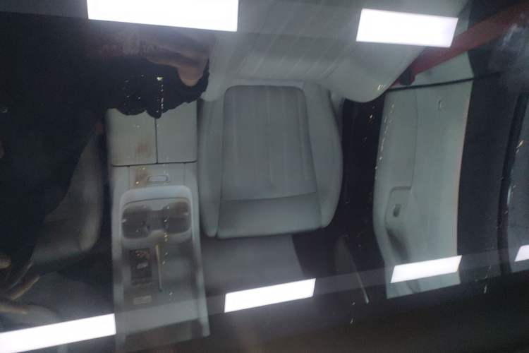 Used ONVO L60 2024 60 kWh Rear-Drive Version Headliner