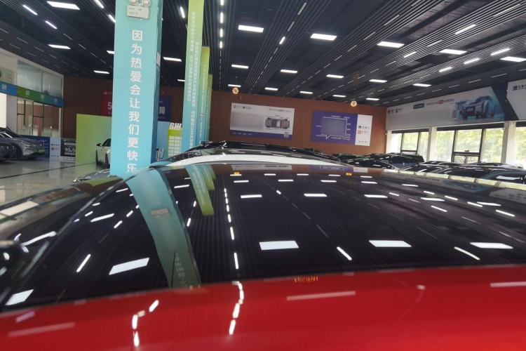 Used ONVO L60 2024 60 kWh Rear-Drive Version Roof
