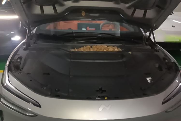 Used ONVO L60 2024 60 kWh Rear-Drive Version Engine Bay