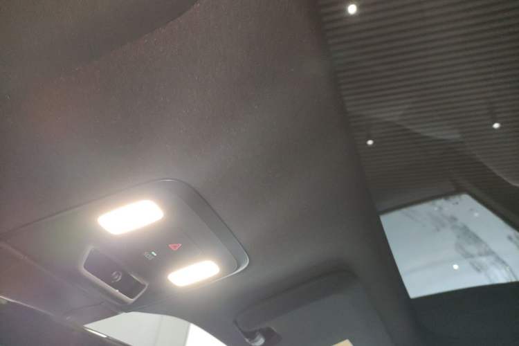 Used ONVO L60 2024 60 kWh Rear-Drive Version Headliner