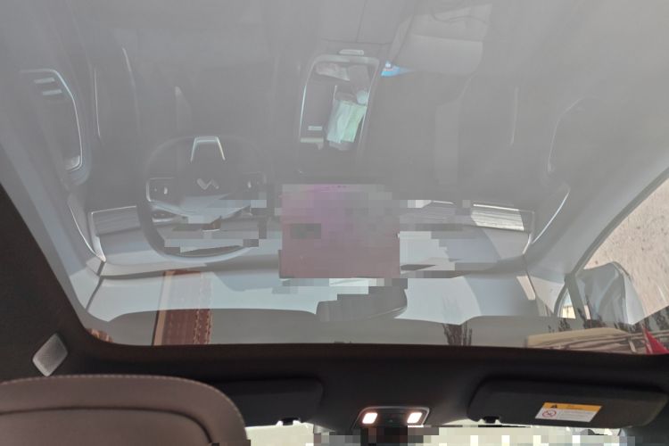Used ONVO L60 2024 60 kWh All-Wheel Drive Headliner