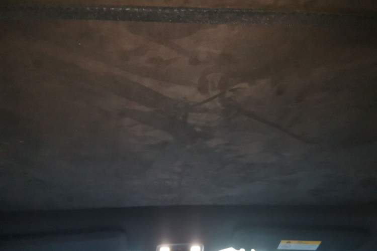 Used ONVO L60 2024 60 kWh Rear-Drive Version Headliner