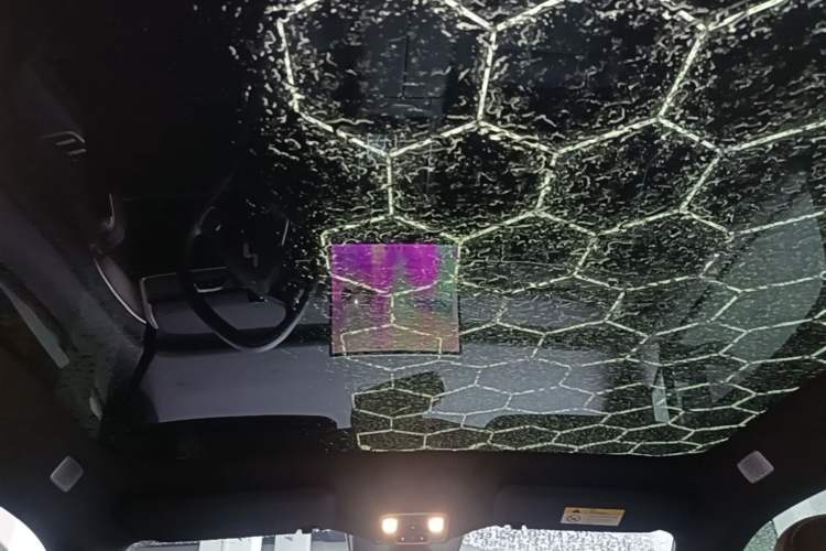 Used ONVO L60 2024 60 kWh Rear-Drive Version Headliner