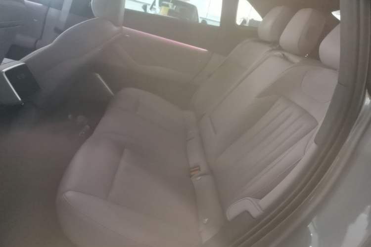 Used ONVO L60 2024 60 kWh Rear-Drive Version Left Rear Seat