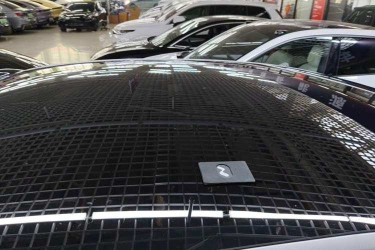Used ONVO L60 2024 60 kWh Rear-Drive Version Roof