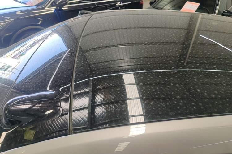 Used ONVO L60 2024 60 kWh Rear-Drive Version Roof