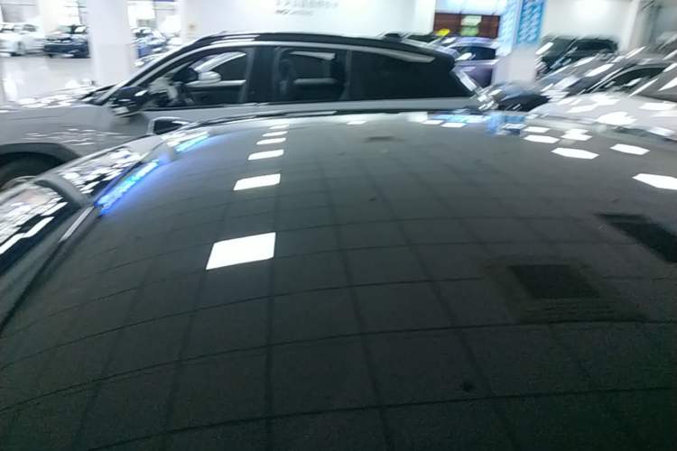 Used ONVO L60 2024 60 kWh Rear-Drive Version Roof
