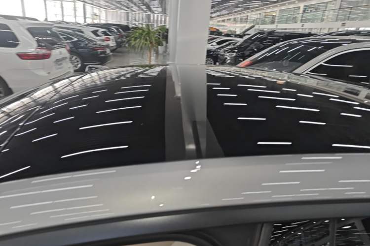 Used ONVO L60 2024 60 kWh Rear-Drive Version Roof