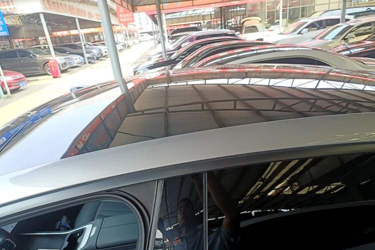 Used ONVO L60 2024 60 kWh Rear-Drive Version Roof