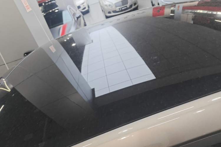 Used ONVO L60 2024 60 kWh Rear-Drive Version Roof