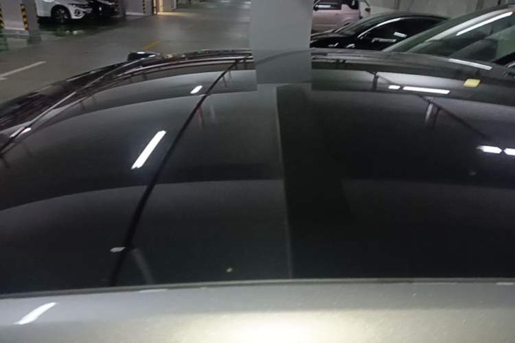 Used ONVO L60 2024 60 kWh Rear-Drive Version Roof