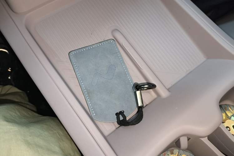 Used ONVO L60 2024 60 kWh Rear-Drive Version Vehicle Key