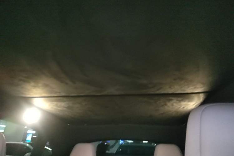 Used ONVO L60 2024 60 kWh Rear-Drive Version Headliner