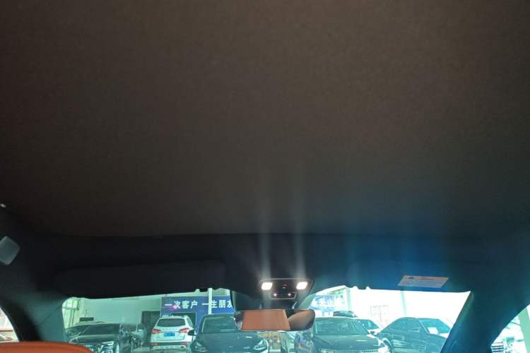 Used ONVO L60 2024 60 kWh Rear-Drive Version Headliner